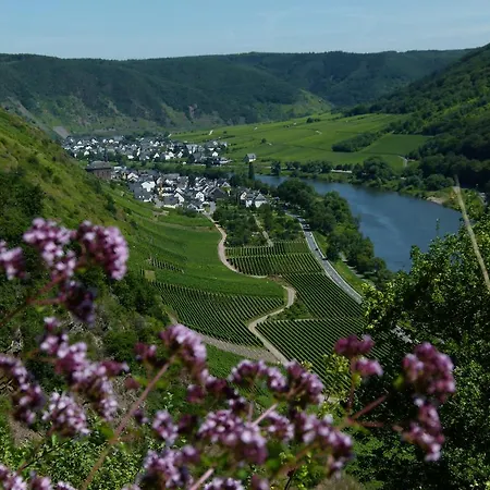 Apartment Mosel-apart Rudorfer Valwig