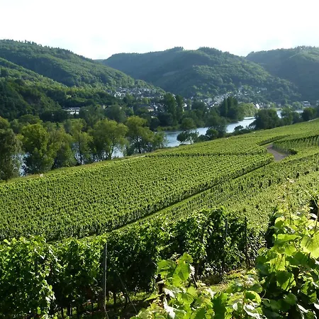 Mosel-apart Rudorfer Valwig