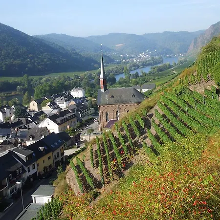 Mosel-apart Rudorfer Valwig