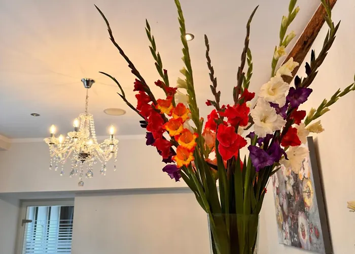 アパート Mosel-apart Rudorfer