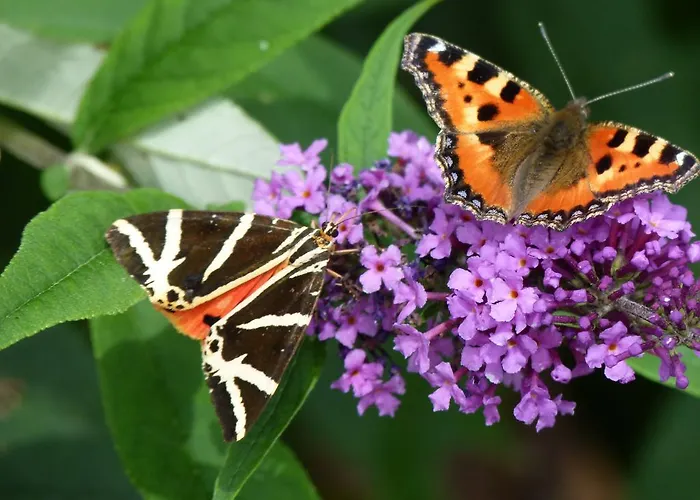 Apartamento Mosel-apart Rudorfer