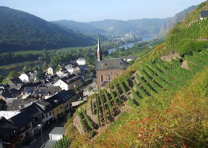 Mosel-apart Rudorfer Valwig