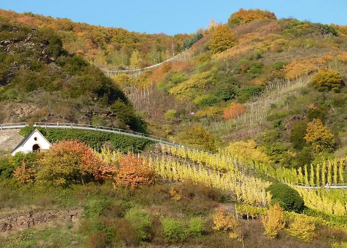 Mosel-apart Rudorfer アパート ヴァルヴィヒ